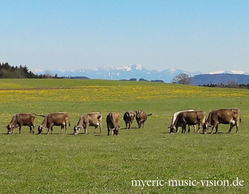 Berg-Panorama-in-Ingenried-c-myeric-music-vision-de